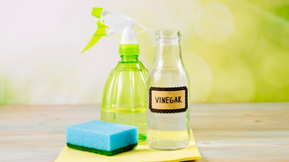 Illustration for article titled You Can Clean These Household Items With Toothpaste